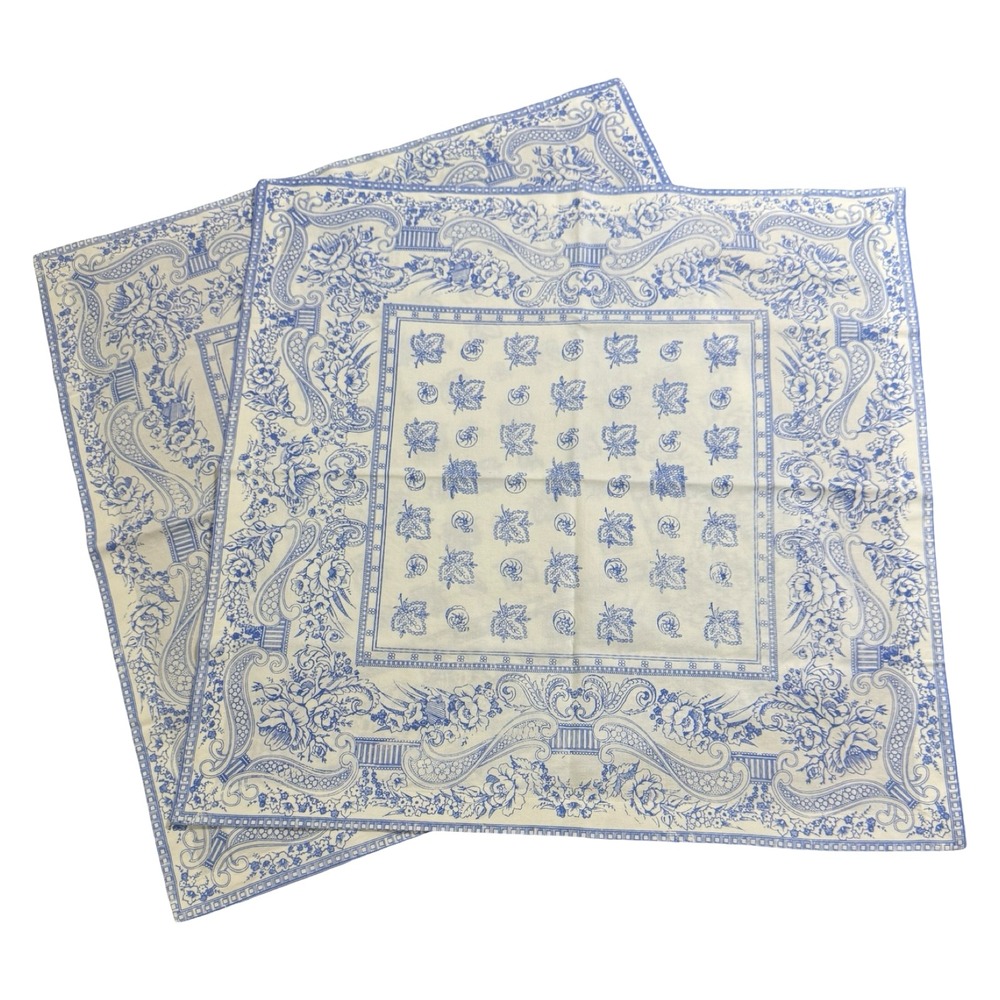 Frog Blue White Cotton Napkins Set‎ of 2 Floral Paisley Toile 20x20 Square